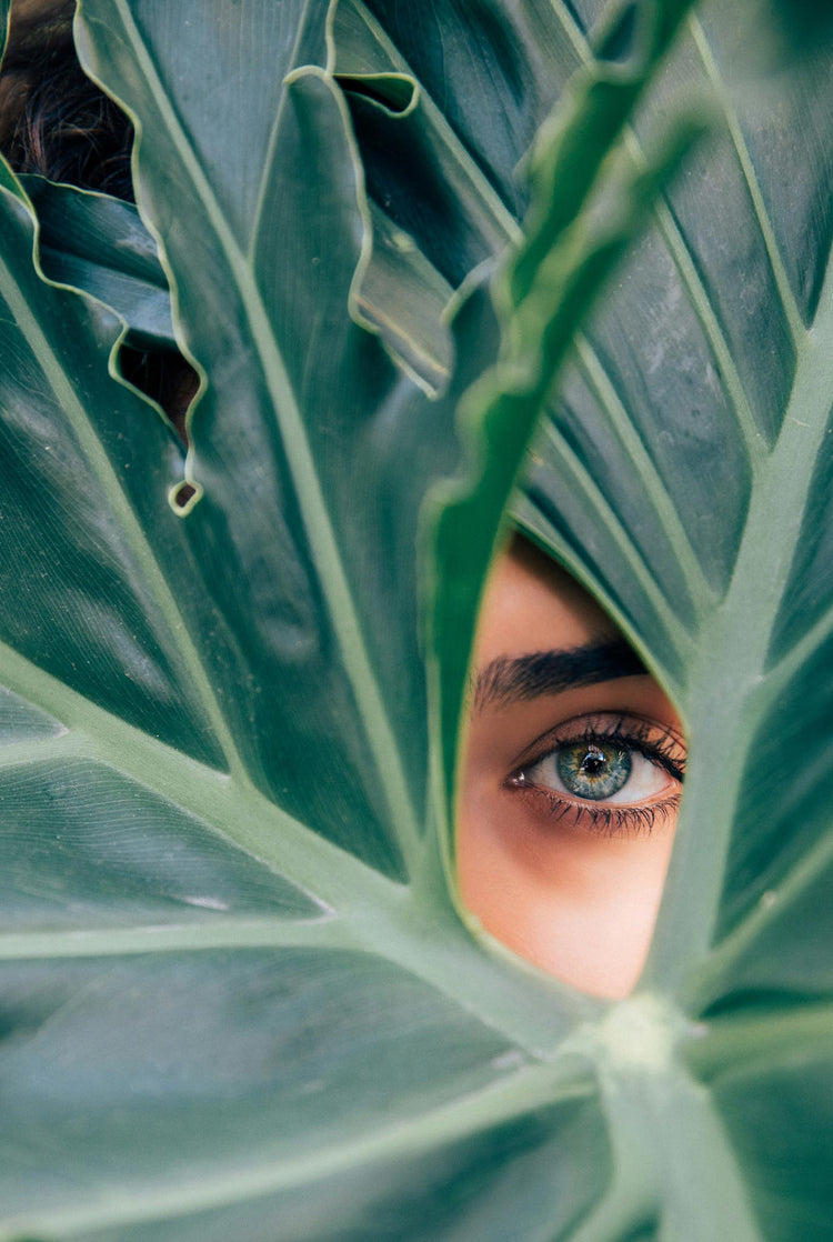 HYDRABLOOM - Hydrating Toner